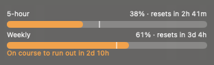 The Main account's bars: 5-hour at 38% with the pace line ahead of it, Weekly at 61% with the line behind it and the note 'On course to run out in 2d 10h'